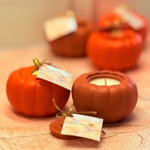 Vela Aromática "ED. LIMITADA"<br>Pumpkin Spice - 100g